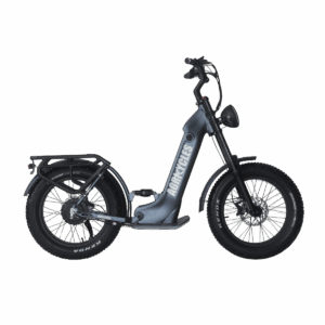 Trottinette tout terrain Agricycles CRT20