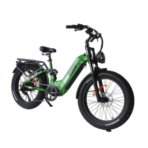 Vélo électrique Agricycles CR24 vert